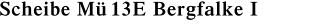 Scheibe M� 13E Bergfalke I