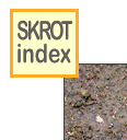 skinlk