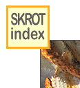 skinlk