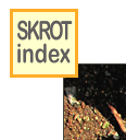 skinlk