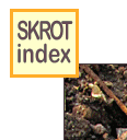 skinlk