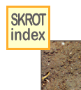 skinlk