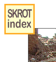 skinlk