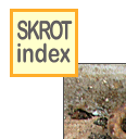 skinlk
