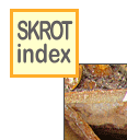 skinlk