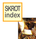 skinlk