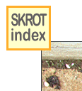 skinlk