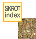 skinlk