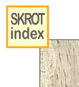 skinlk