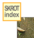 skinlk